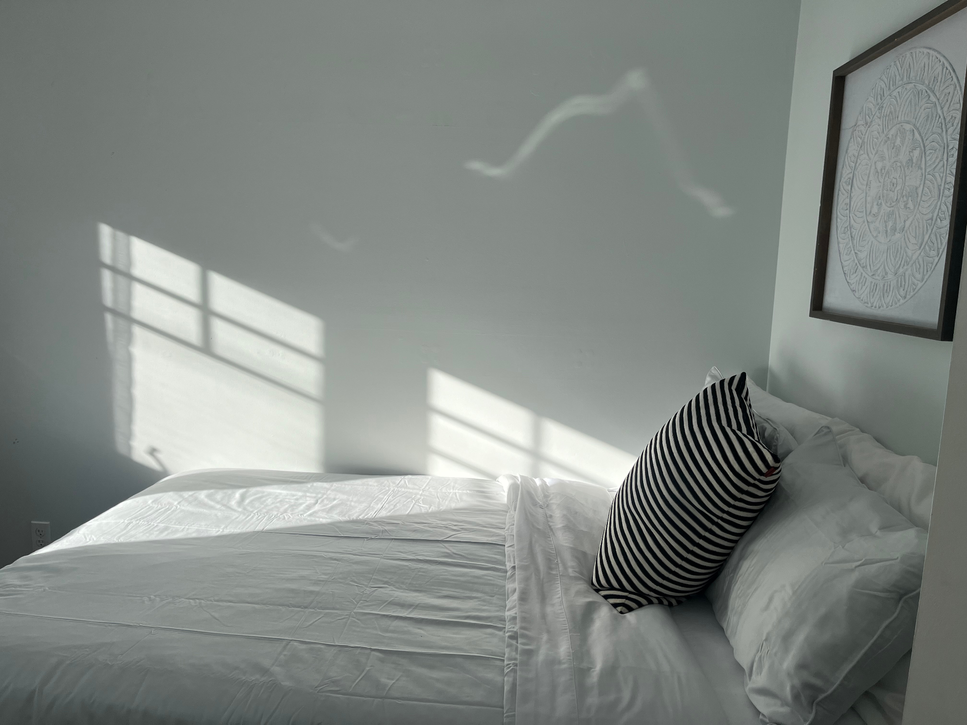Cotton Queen Sheet Set
