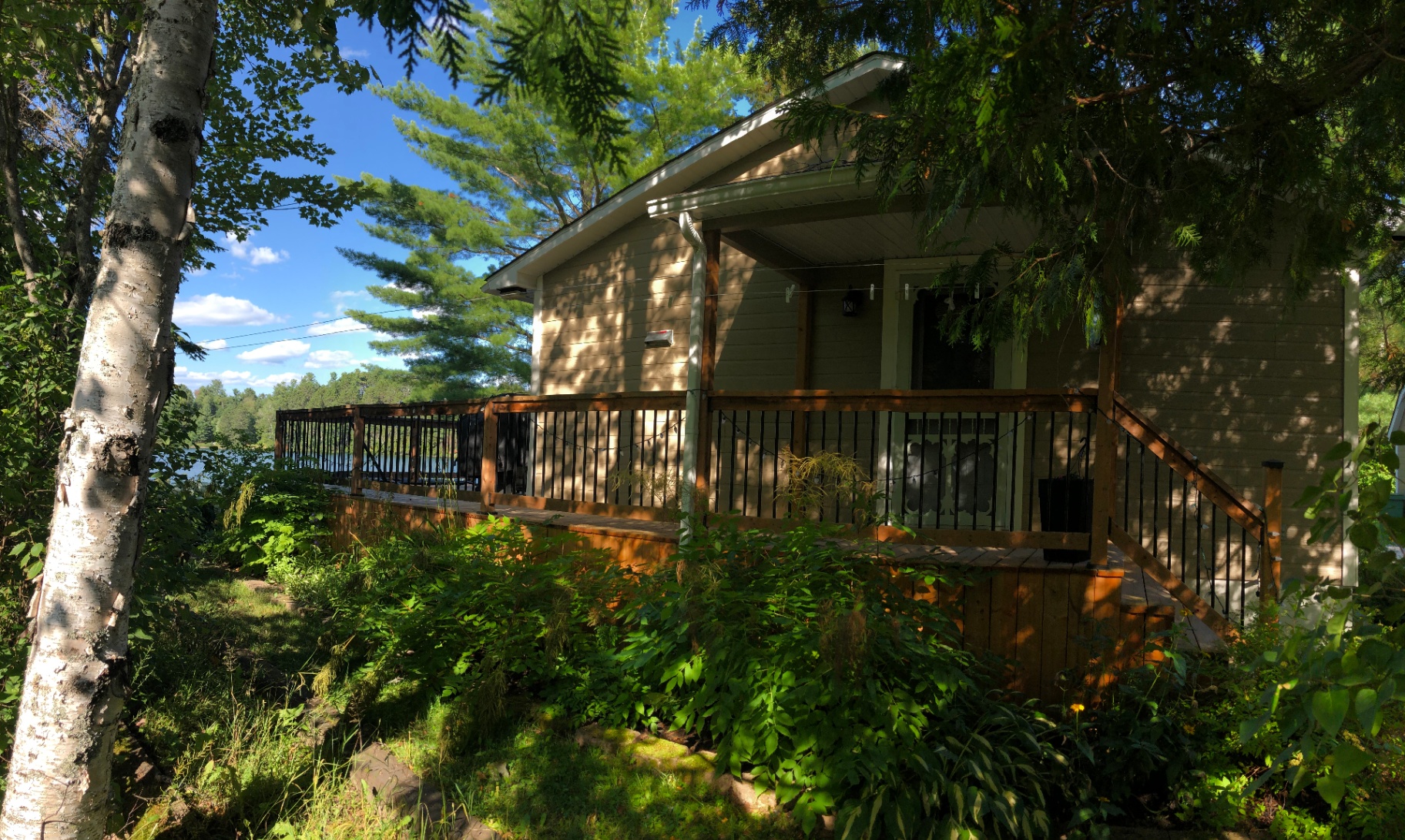 Ashley's little lakefront cottage nestled in pines